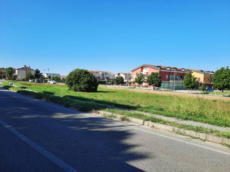 immagine annuncio 5 di 8