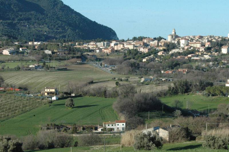 immagine annuncio 1 di 9