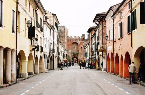 immagine annuncio 9 di 10
