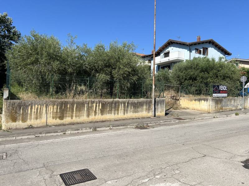 immagine annuncio 3 di 6