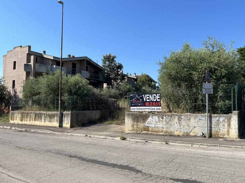 immagine annuncio 4 di 6
