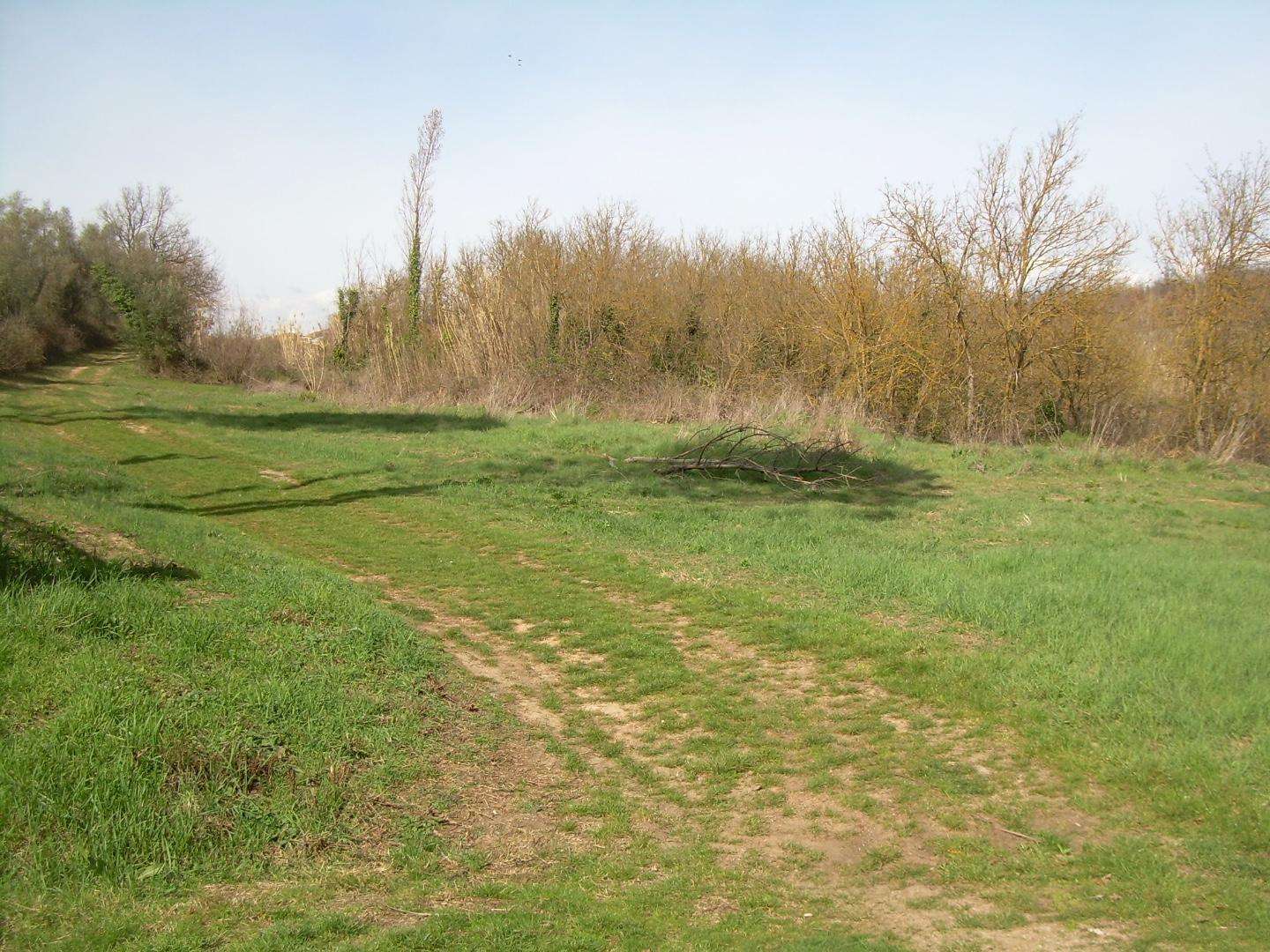immagine annuncio 1 di 7