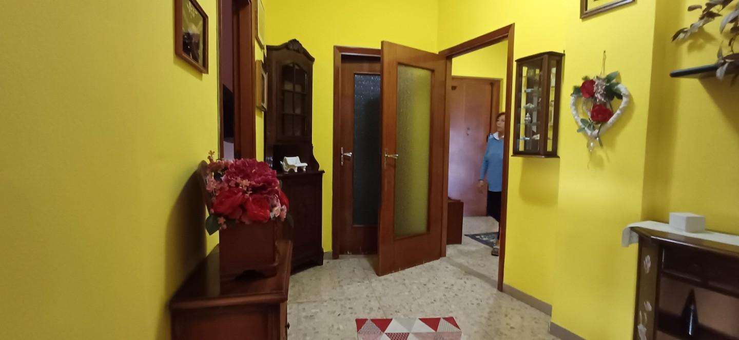 immagine annuncio 6 di 11