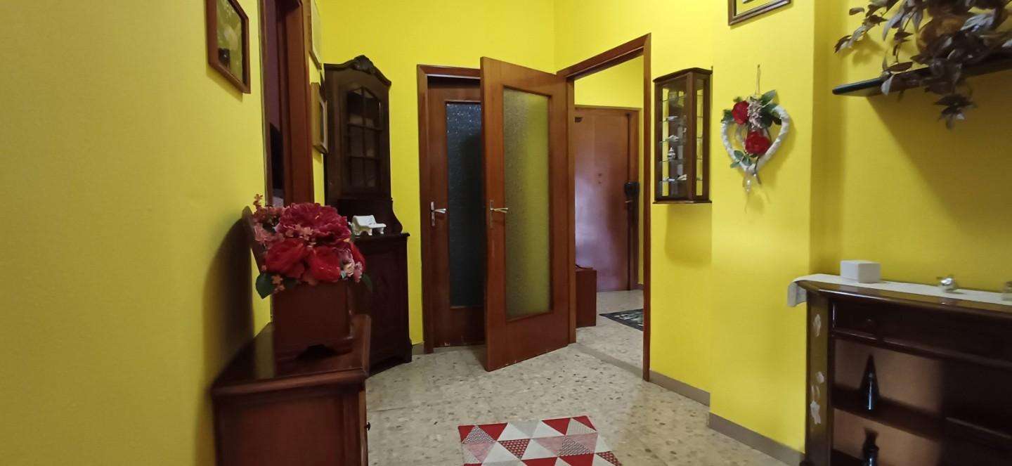immagine annuncio 7 di 11