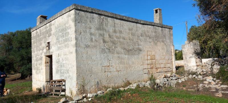 immagine annuncio 3 di 10