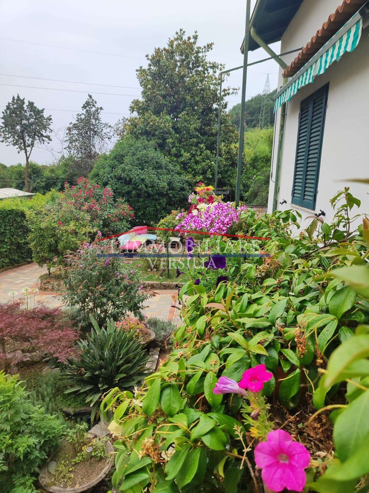  - foto 8