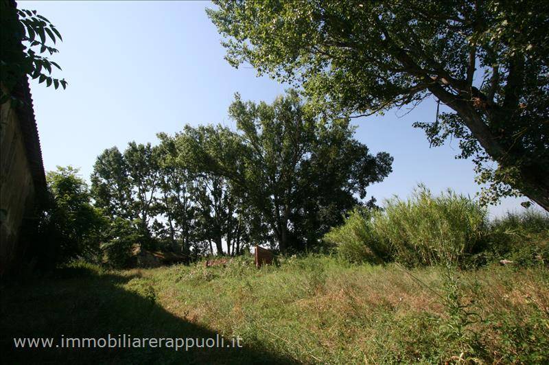 immagine annuncio 6 di 9