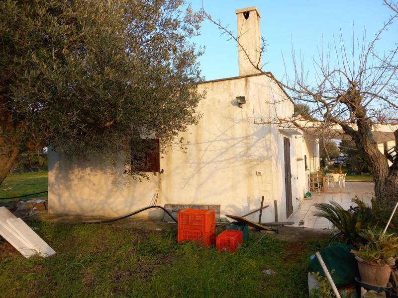 immagine annuncio 6 di 10
