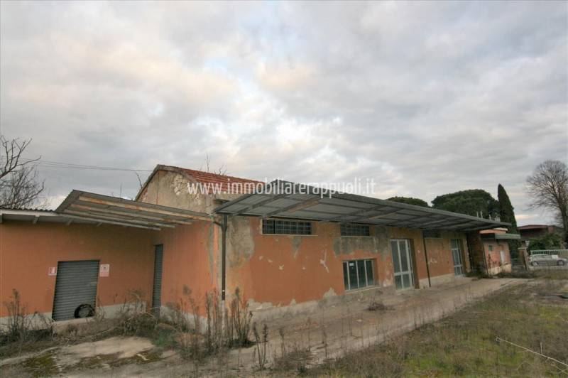 immagine annuncio 3 di 8