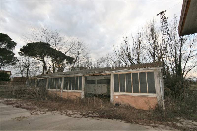 immagine annuncio 7 di 8