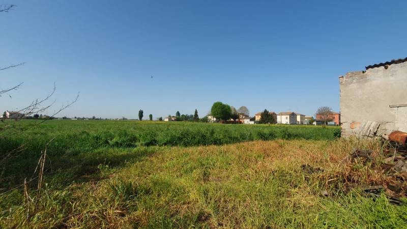 immagine annuncio 3 di 7