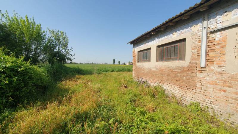 immagine annuncio 4 di 7