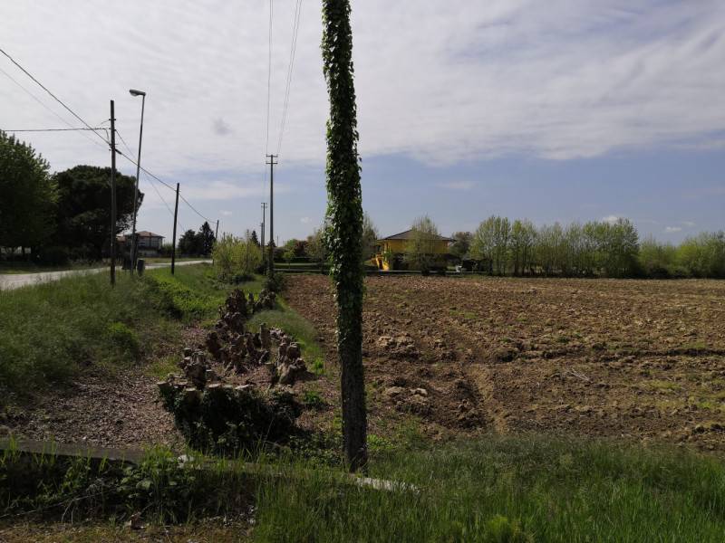 immagine annuncio 1 di 6