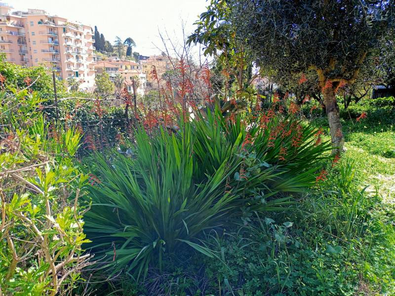 immagine annuncio 2 di 3