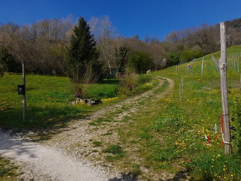 immagine annuncio 2 di 10