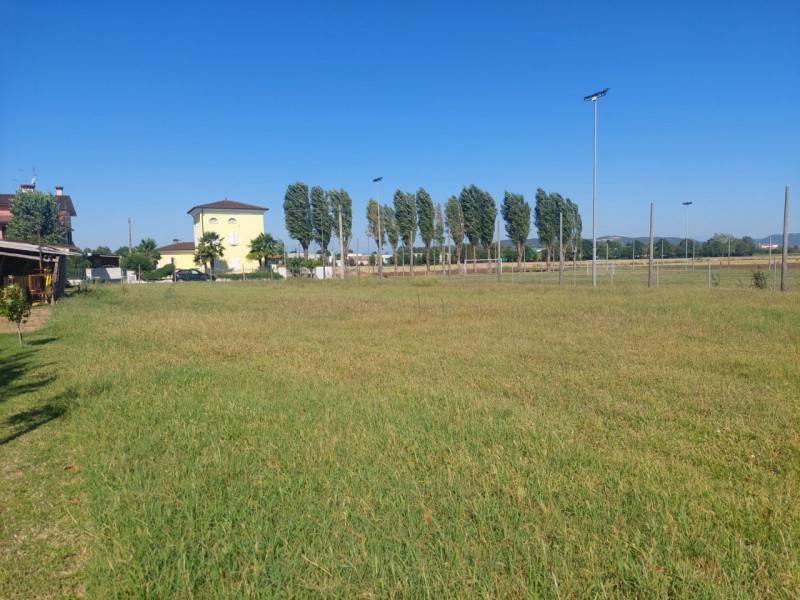 immagine annuncio 1 di 8