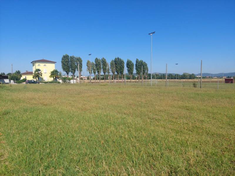 immagine annuncio 6 di 8