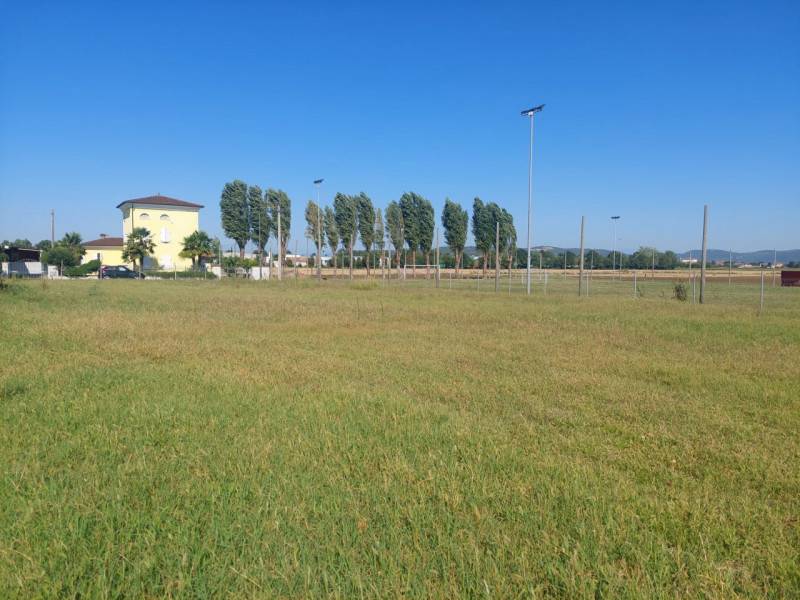 immagine annuncio 7 di 8