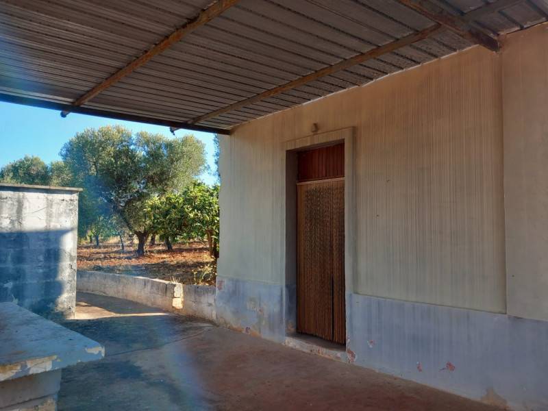 immagine annuncio 9 di 10