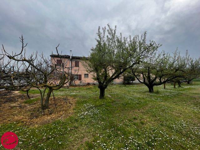 immagine annuncio 2 di 6