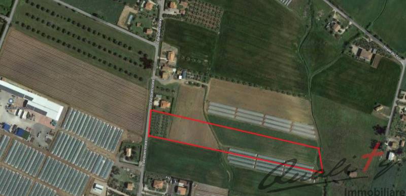 immagine annuncio 4 di 6