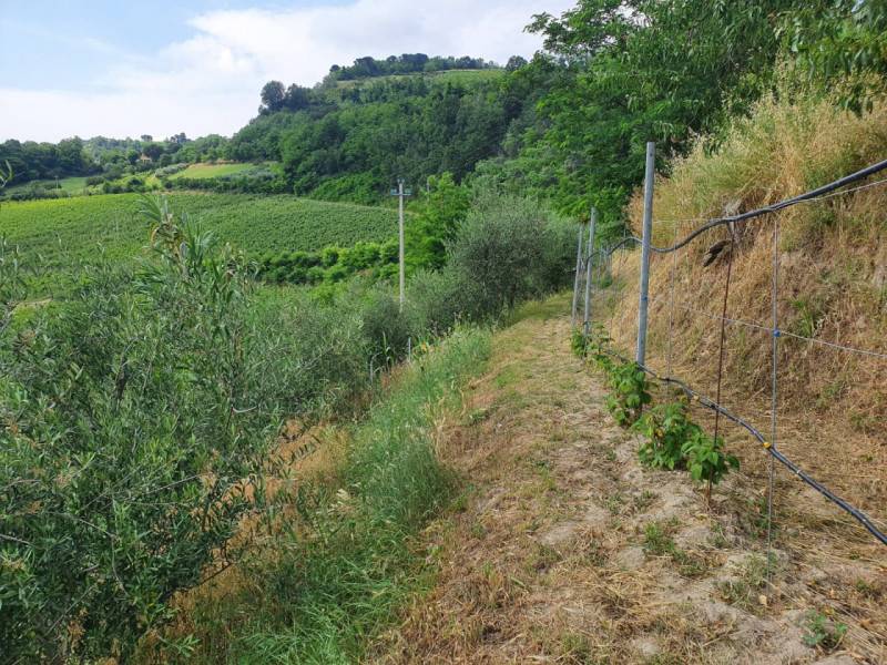 immagine annuncio 7 di 10