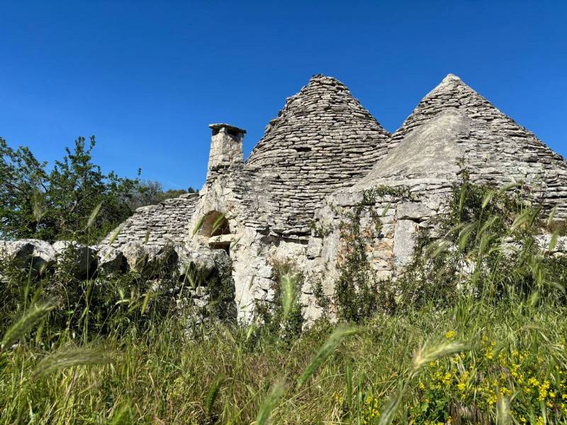immagine annuncio 6 di 10