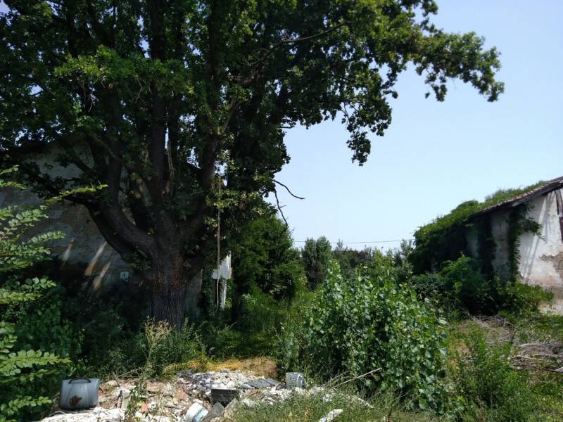 immagine annuncio 1 di 2