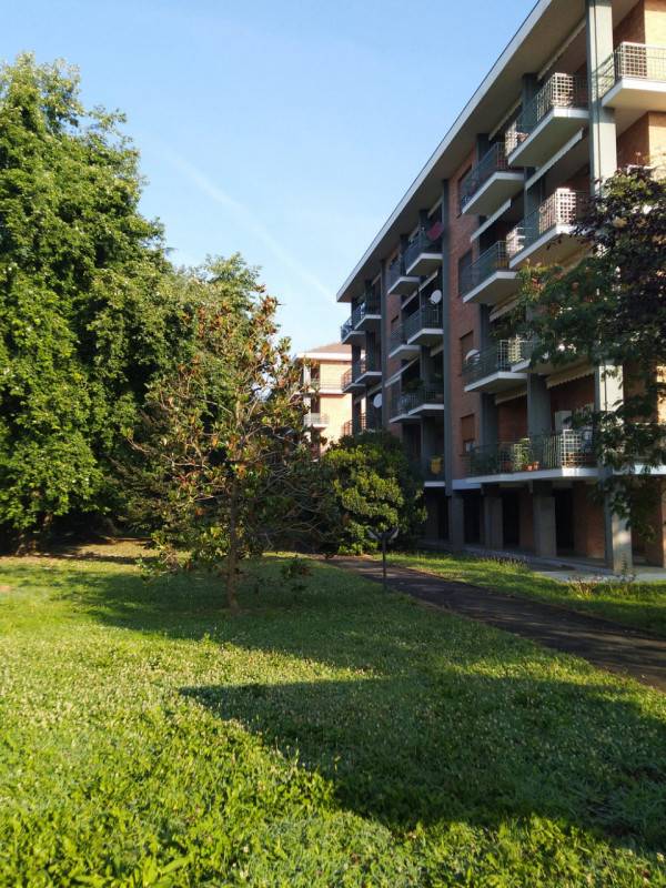 immagine annuncio 5 di 10