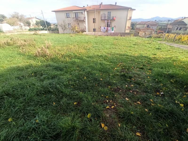 immagine annuncio 3 di 8
