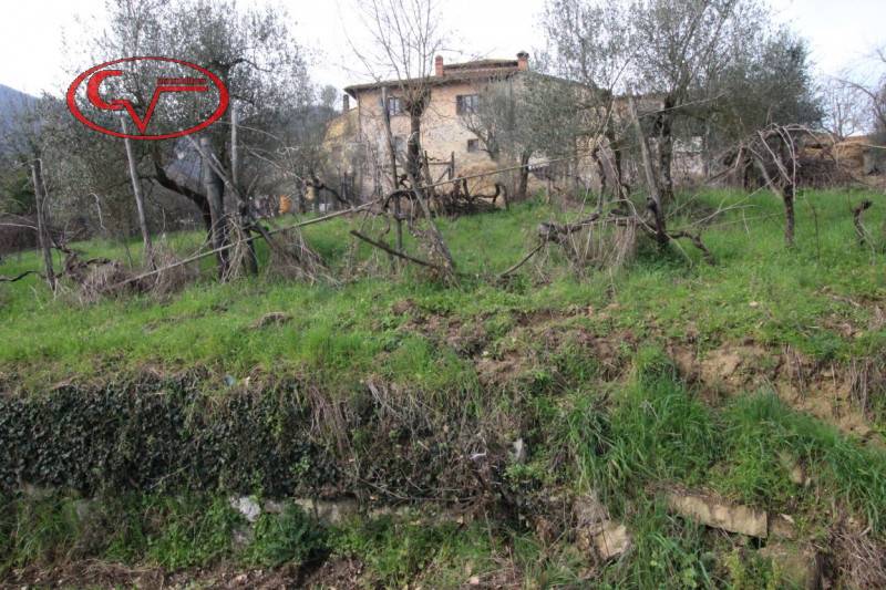 immagine annuncio 7 di 8