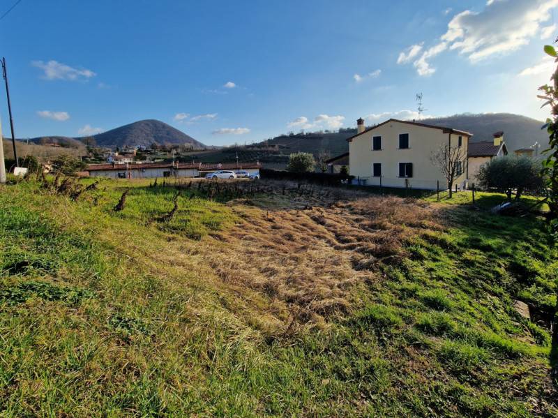 immagine annuncio 1 di 6
