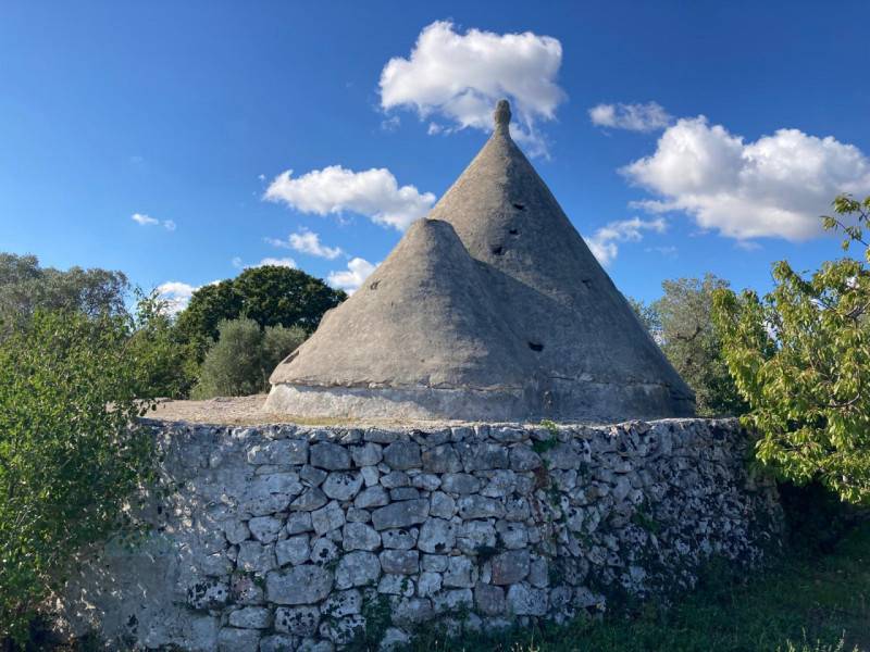 immagine annuncio 2 di 10
