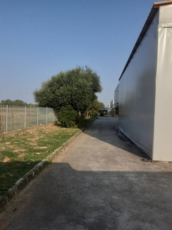 immagine annuncio 6 di 7