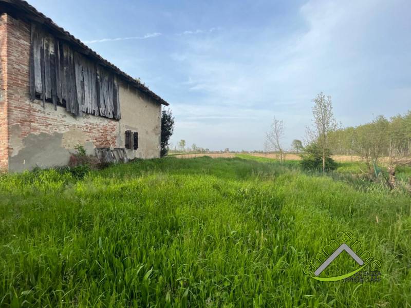 immagine annuncio 2 di 8