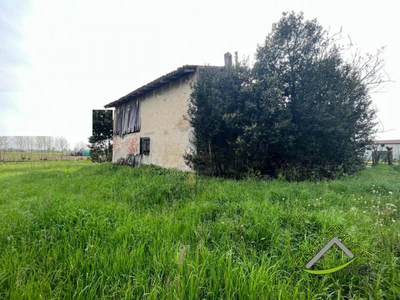 immagine annuncio 4 di 8