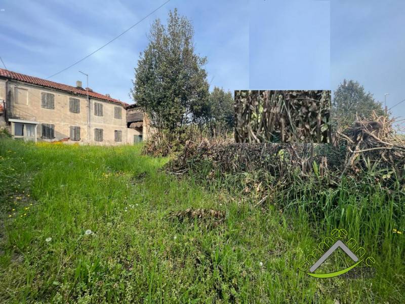 immagine annuncio 5 di 8