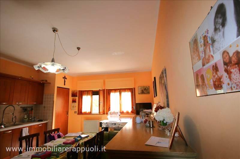 immagine annuncio 6 di 9
