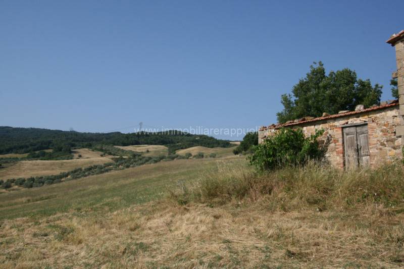 immagine annuncio 4 di 6