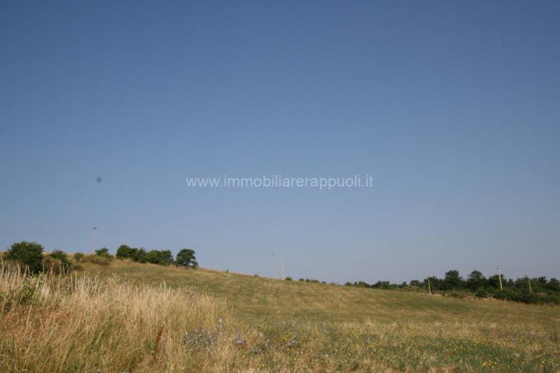 immagine annuncio 5 di 6