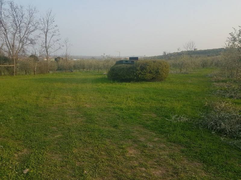 immagine annuncio 3 di 8