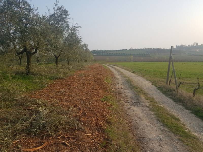 immagine annuncio 5 di 8