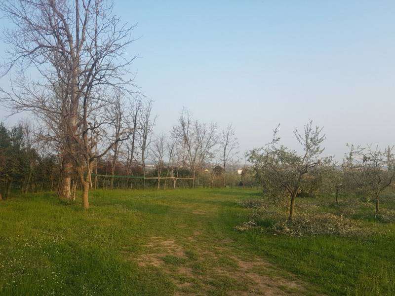 immagine annuncio 6 di 8