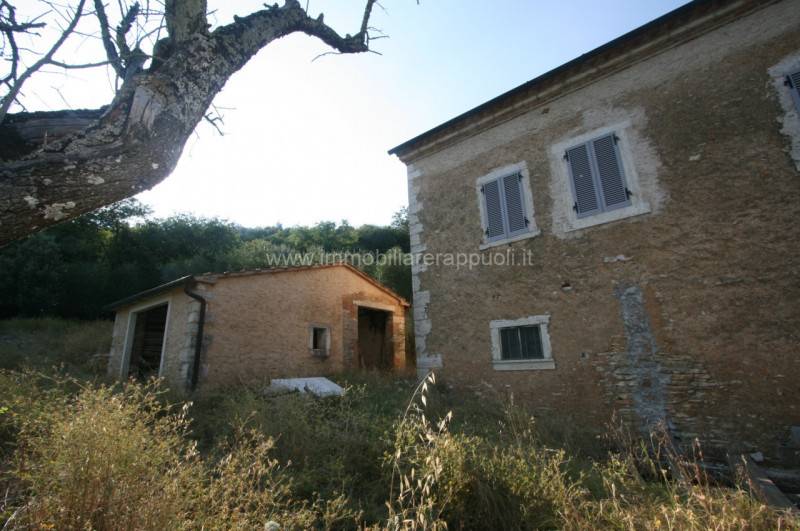 immagine annuncio 3 di 9