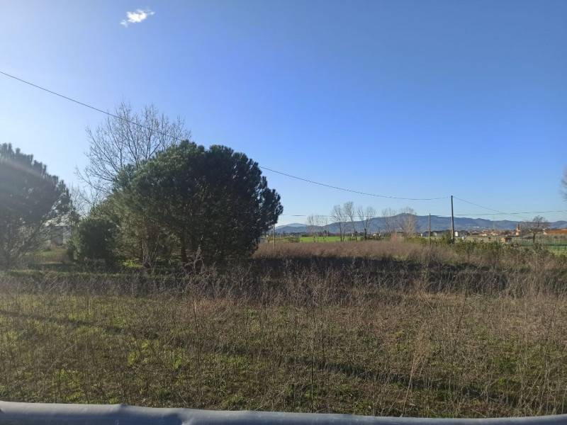 immagine annuncio 4 di 7