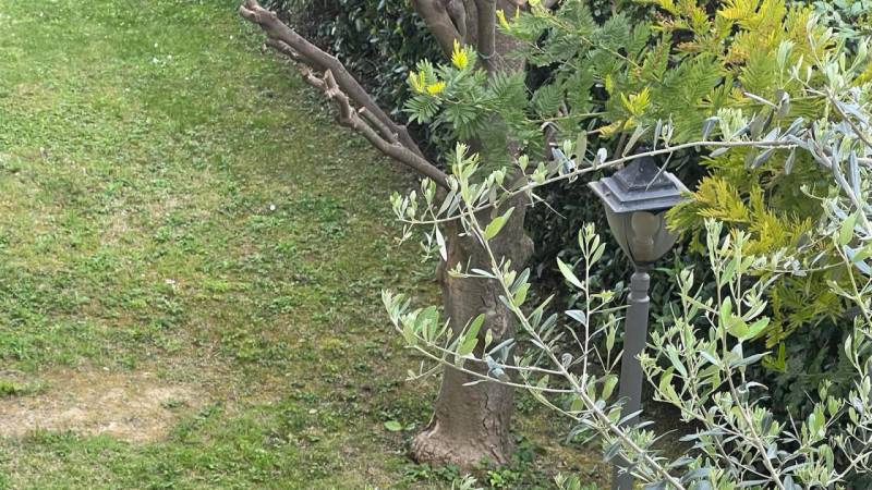 immagine annuncio 8 di 9