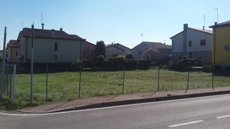 immagine annuncio 3 di 6