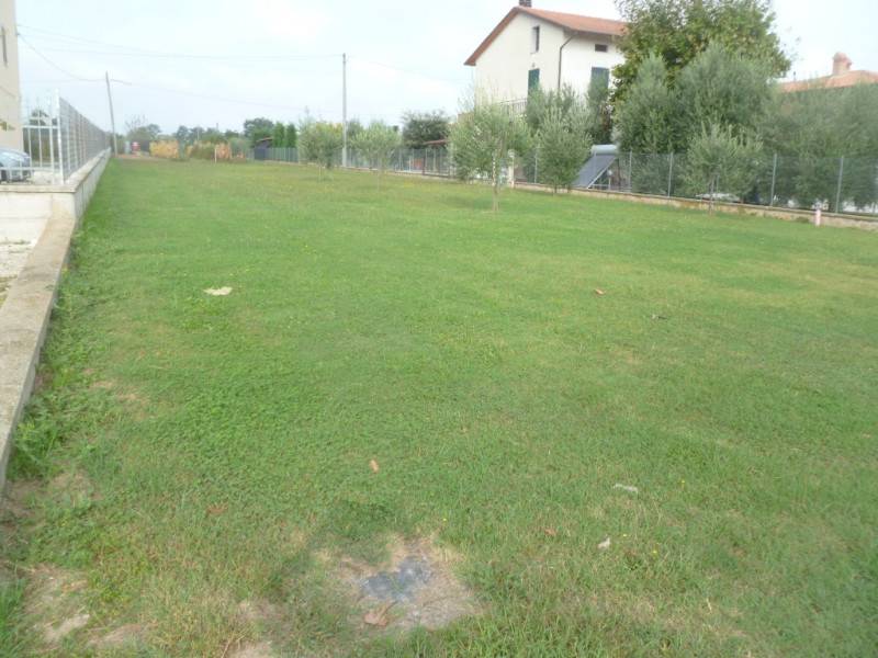 immagine annuncio 2 di 7