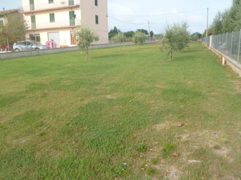 immagine annuncio 3 di 7