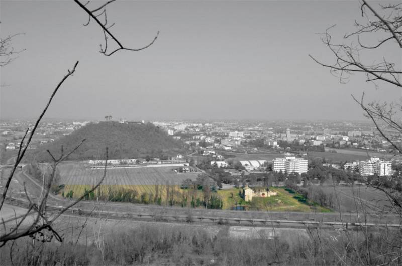 immagine annuncio 3 di 10